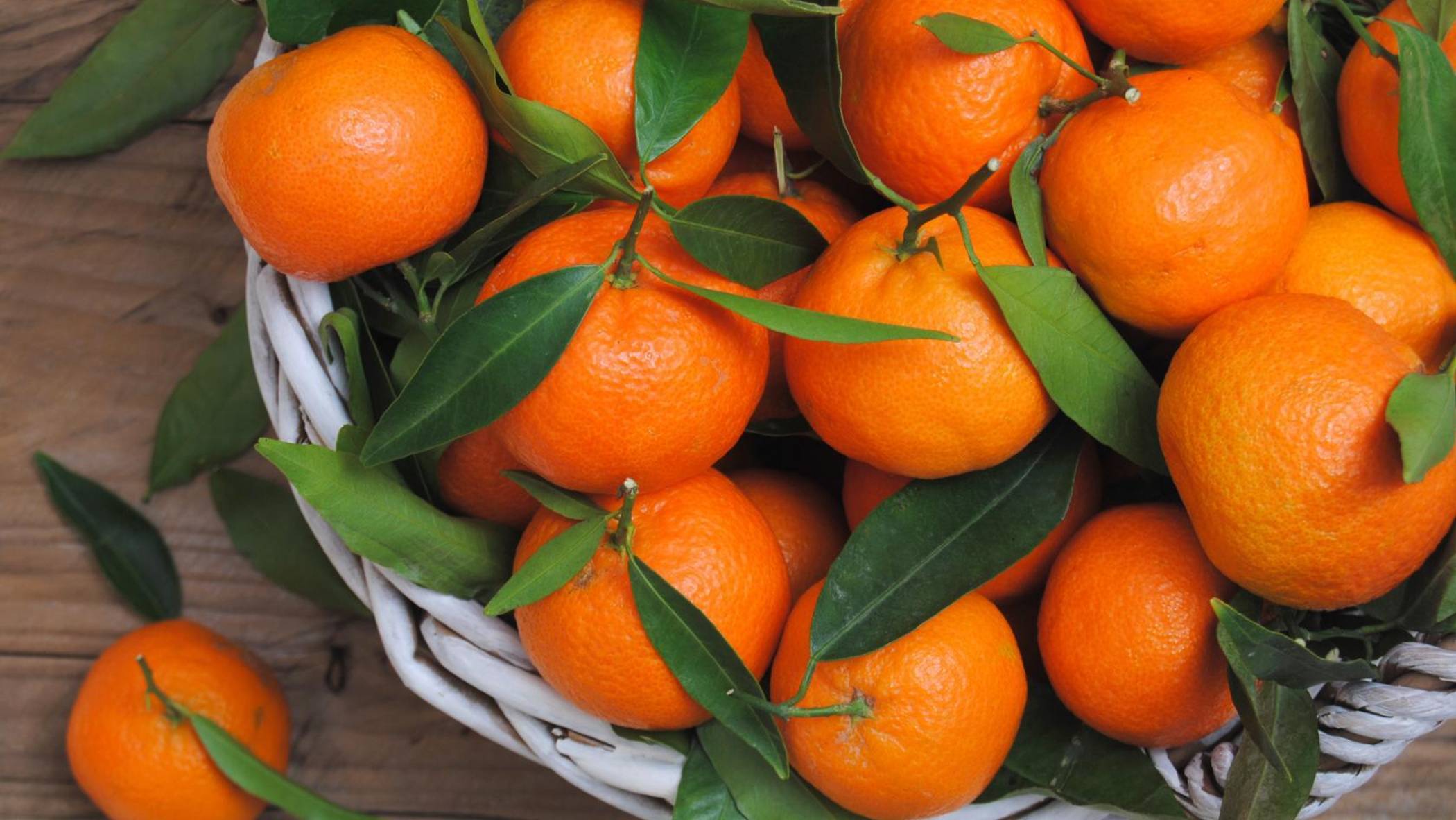 ДЕВЫ 🎁🎅 Ваш таро-прогноз на 2025 год. ✨✨✨ смотреть онлайн