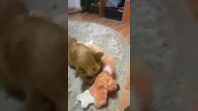 Спарринг смотреть онлайн