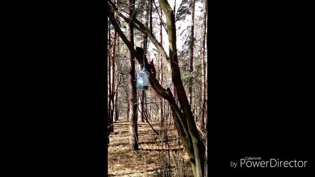 В Мире животных смотреть онлайн