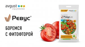 Ревус - надежная защита томатов от фитофтороза. Инструкция и особенности применения