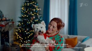 Реклама корм Цезарь Новогодние свитера