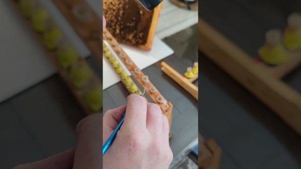 Вывод пчелиных маток ,перенос личинок 14 Марта 2024