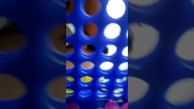 Кити мити Маша шубодерова смотреть онлайн