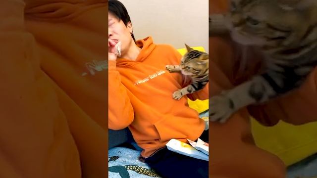 Когда не кормил кота уже 6 минут смотреть онлайн