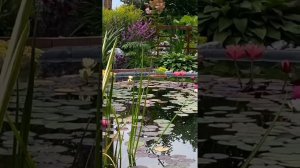 Сезон 2022. Небольшие результаты большого пути ОЗ, длиною в 7 лет