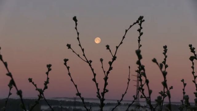 Луна в Томске смотреть онлайн