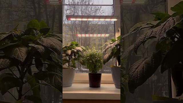 Держатель для фитолампы: растёт вместе с вашими растениями! 🌱 смотреть онлайн