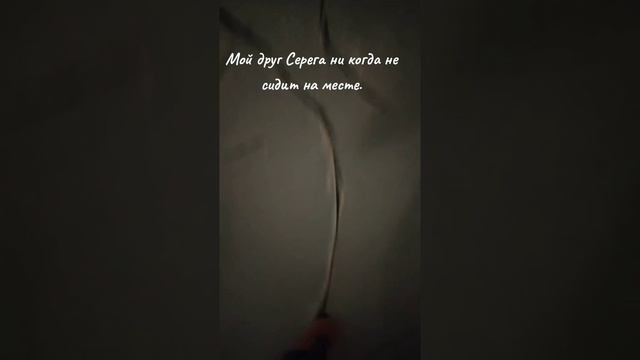 2024-12-08-160236416.mp4