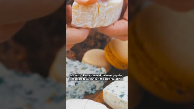 Take care of your cheeses!🧀 смотреть онлайн