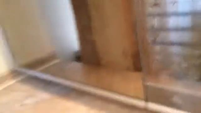 Как варить кашу??? смотреть онлайн