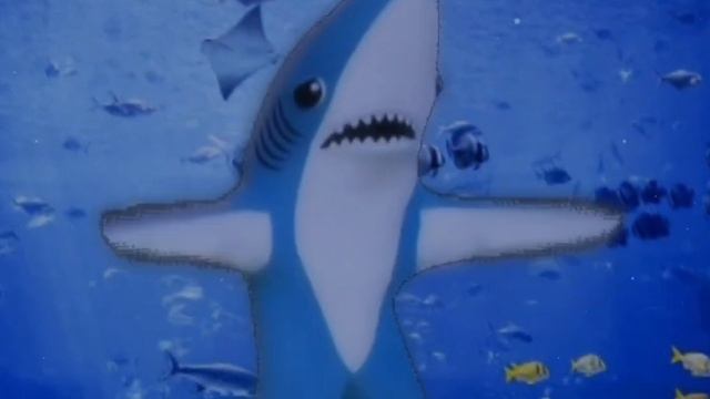 Акула страшно денсит под водой смотреть онлайн