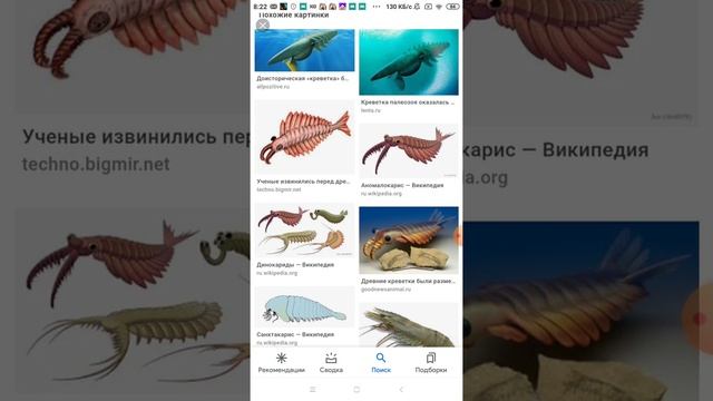 динокариды смотреть онлайн