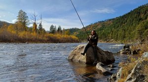 Сезон 2024, за черной молнией!