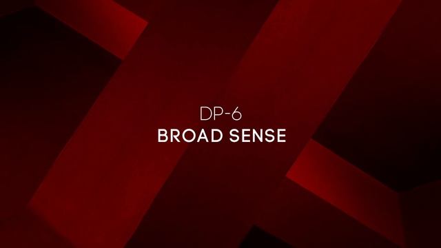 DP-6 - Broad Sense смотреть онлайн