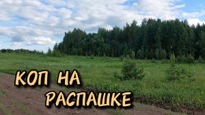 Коп на распашке с металлоискателем TX 850