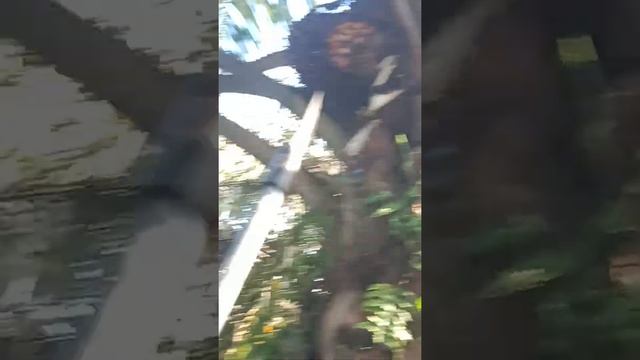 @ ajaib....subahanalloh...... смотреть онлайн