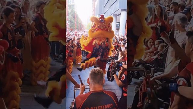 Lion Dance woth Lion Roar #liondance #chineseliondance #lionroar смотреть онлайн