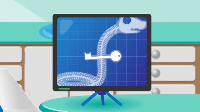 Shane The Koala Visits Dr Poppy's Pet Rescue | Animals For Children смотреть онлайн