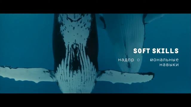 Что важнее сегодня  Hard Skills или Soft Skills