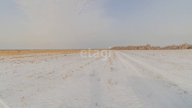 видео8 смотреть онлайн