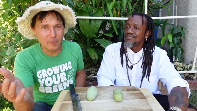 Rasta Man Grows Tropical Fruits in a Backyard Arid Desert Food Forest смотреть онлайн
