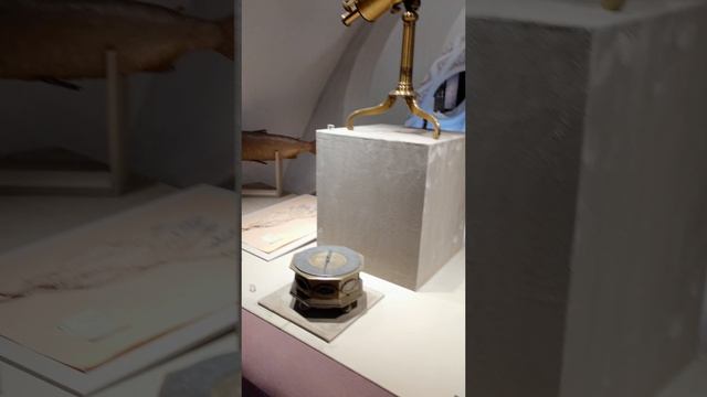 Кунсткамера Санкт-Петербург