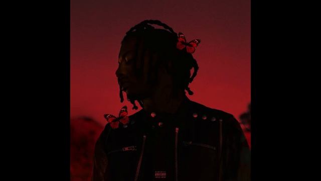 [FREE] (HARD) Playboi Carti x Future x WLR Type Beat - "Flex" (prod. LV) смотреть онлайн