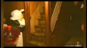 ПОДВАЛ МИСТЕРА МЕДВЕДЯ 1