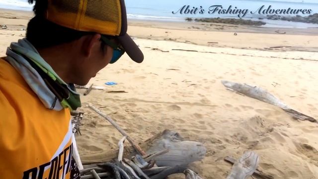 Barracuda Frenzy mengunakan Zerek Long Trail & Barra X Pro смотреть онлайн