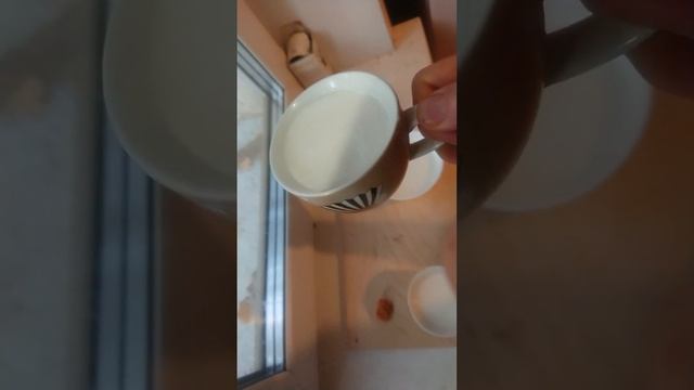 Как определить наличие серы на сухофруктах при помощи молока. 18. 09.2023 г. смотреть онлайн