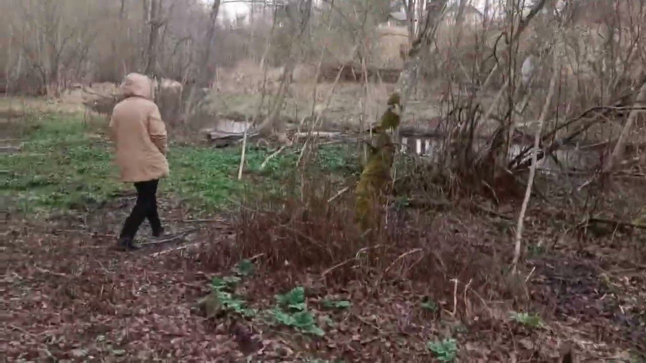 Источник Ильи Муромца смотреть онлайн