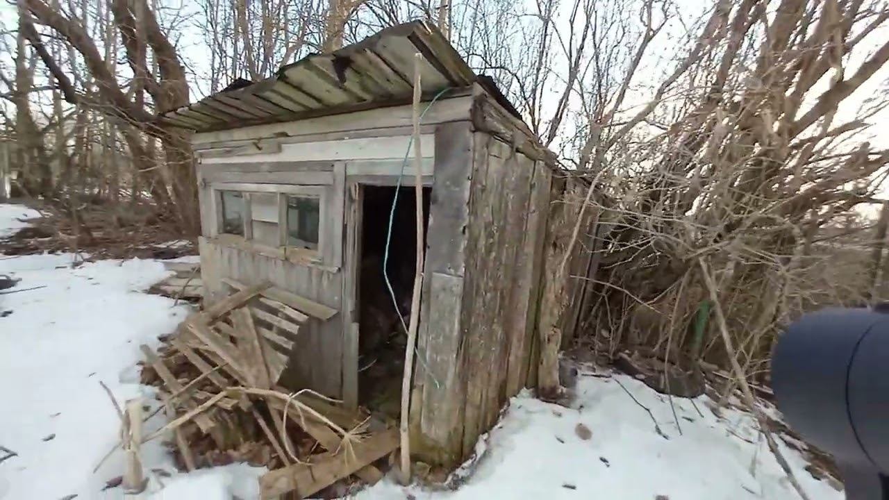 Бесхозный дом смотреть онлайн