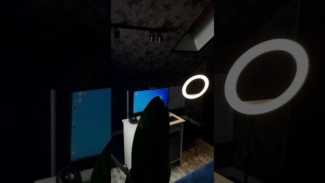 Обзор на студию Барнаул смотреть онлайн