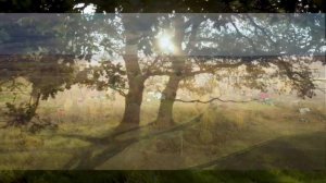 ЛАРИСА ЕЛИНА
Русская народная песня «Волга-реченька»