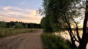 Голубь    Сектор газа