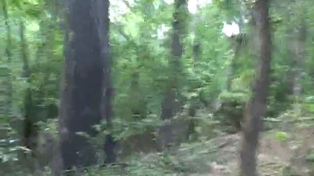 munny sokol park - shangri la to bridge смотреть онлайн