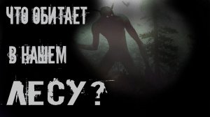 ЧТО ОБИТАЕТ В НАШЕМ ЛЕСУ? УЖАСЫ. МИСТИКА. СТРАШНЫЕ ИСТОРИИ. ХОРРОР. АУДИОКНИГА.