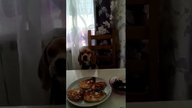 @moli смотреть онлайн