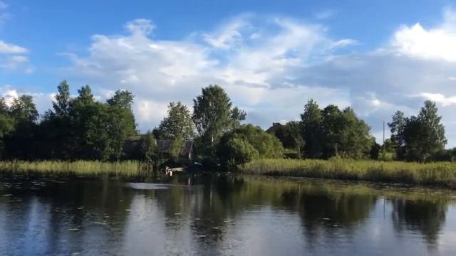 Чаечата начали летать смотреть онлайн
