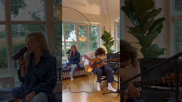 Bibio, Petals cover смотреть онлайн