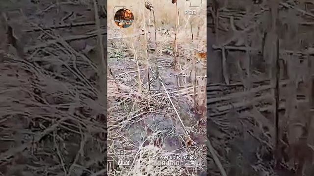 Понедельник!🤗.mp4 смотреть онлайн