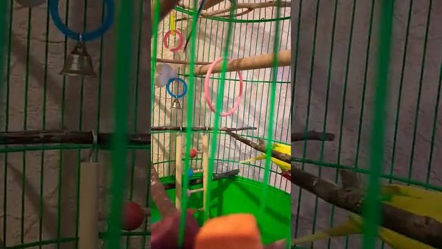 Милка кушает Лунтик на месте смотреть онлайн