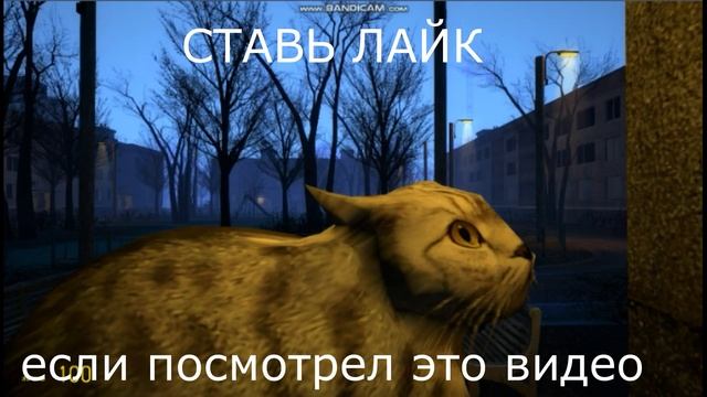 пасматри видео смотреть онлайн