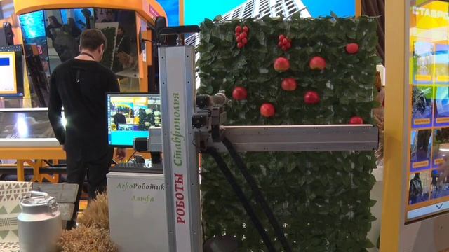 Видео выставка промо