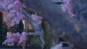 Лисы с ширмы 1 сезон 21 серия