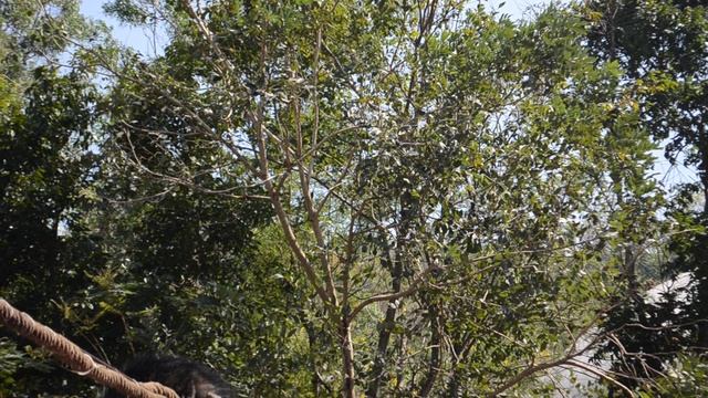 DSC_5977 смотреть онлайн