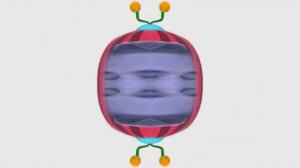 PewDiePie Cocomelon Intro Effects (Sponsored by Eight! Wrong! Csupo Effects)