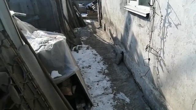 11.02.2024.🎯Мишени для метания ножей.Цели,задачи.Ютуб/канал:Владимир Стороженко.+79241232444 смотреть онлайн