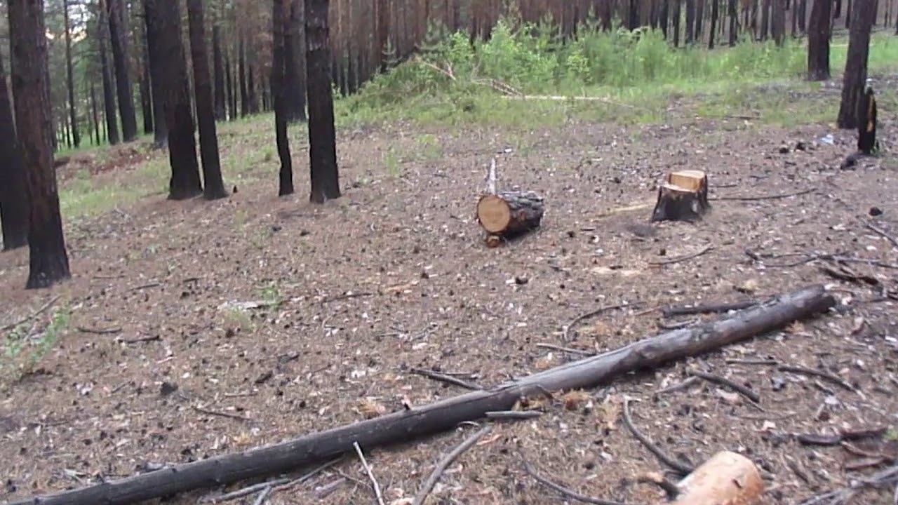Валежник кому он нужен то смотреть онлайн