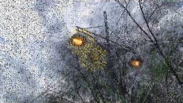 АПМ - Весна.Апрель.